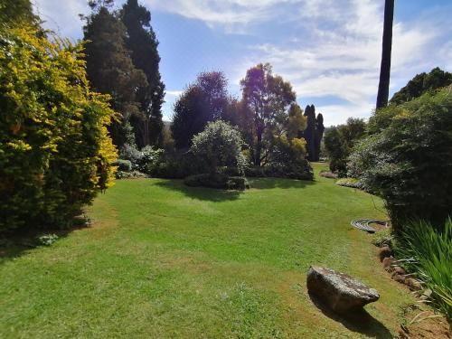 高级特大床或双床间