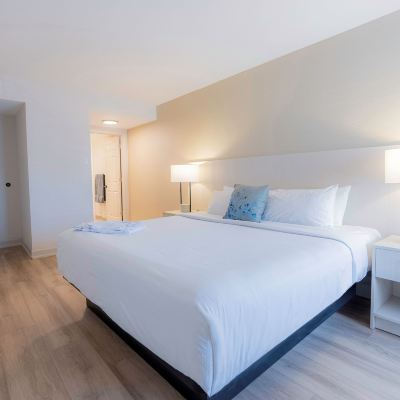 Modern One Bedroom King Suite Les Suites Hotel Promo Code