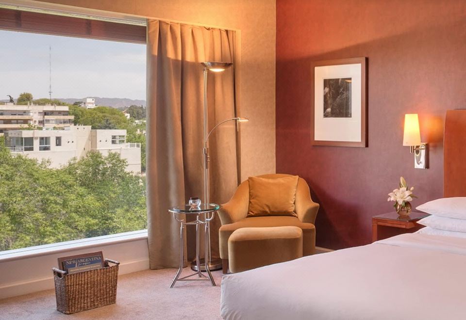 Park Hyatt Mendoza Hotel Casino and SpaKing Room