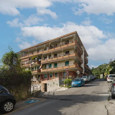 Caprifoglio