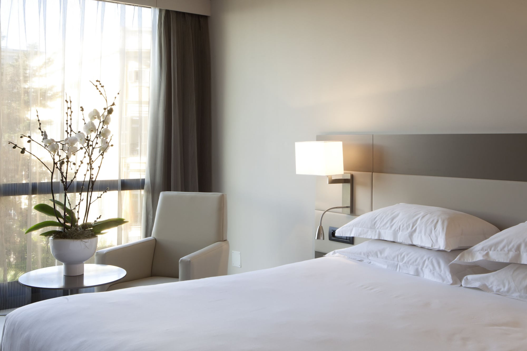 园景高级特大床房