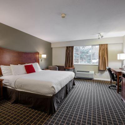 Standard King Room with Kitchen Gibsons Garden Hotel Promo Code