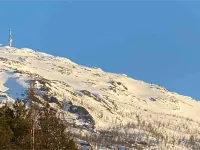 Big central house with a view, free parking(E31) Hotels in Narvik
