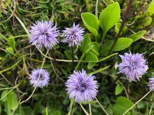 带阳台和露台的双卧室公寓