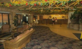 Polynesian Hotel Wisconsin Dells - Near Noah's Ark