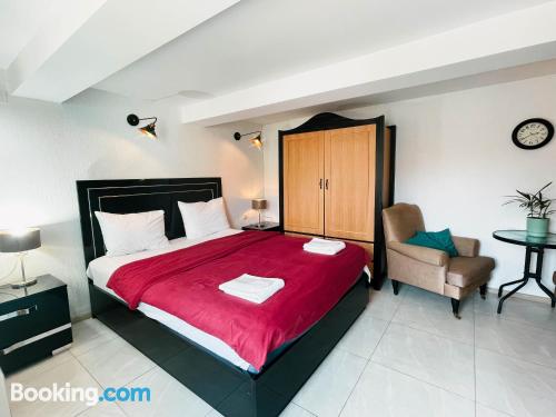 带园景一室公寓