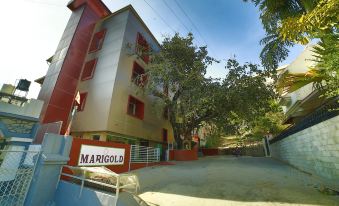 Hotel Marigold Mount Abu with Swimming Pool - Housity