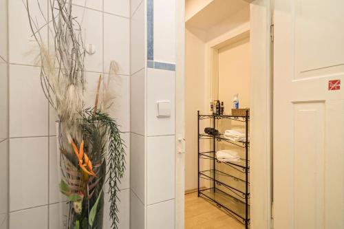 高级一卧室公寓