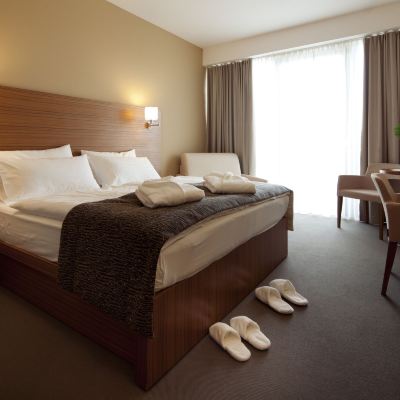 Executive Room Bohinj Eco Hotel Promo Code