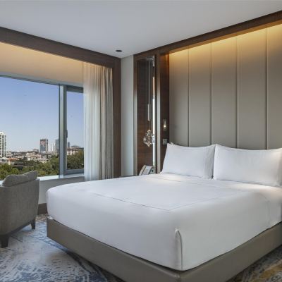 Deluxe King Room With Park View