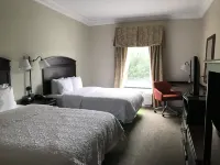 Hampton Inn Vidalia