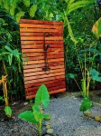 Hotel Boutique the Green Jungle House Hotels in 