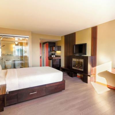 Intimacy Room, 1 Queen Bed, Fireplace and Multi-Jet Shower Hotel Must Promo Code