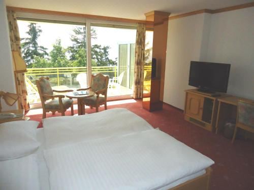 Grand Hôtel du ParcDouble Room South