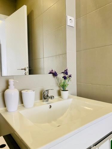 豪华双人或双床房