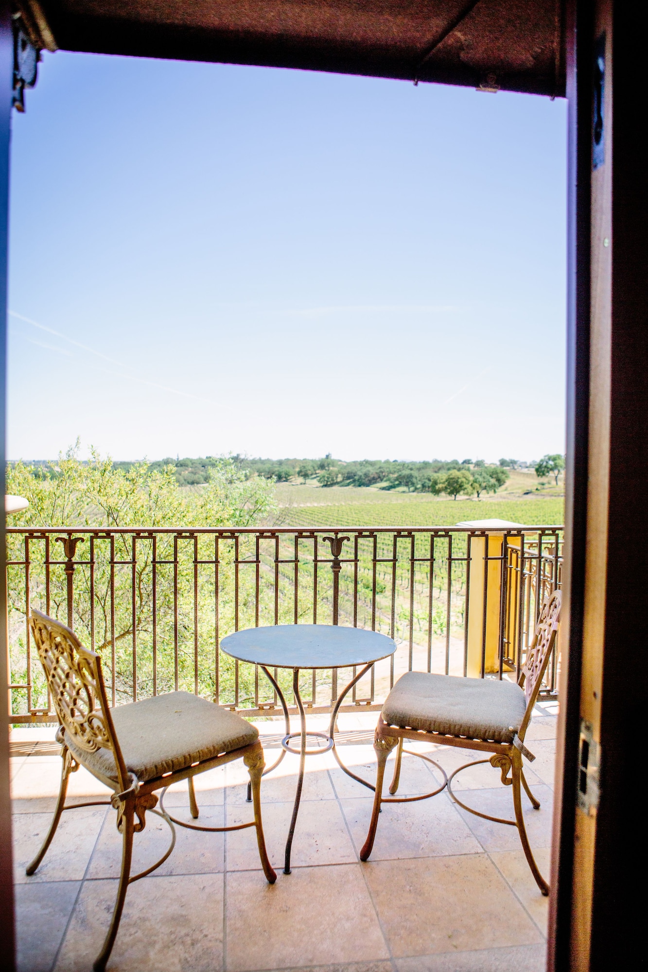 套房，1张大床，葡萄园景观（Pinot Grigio）