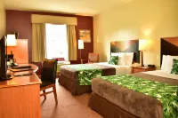 Sleep Inn Hotel Paseo Las Damas Hotels in 