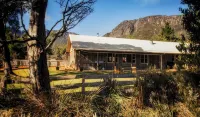 Wilder Tasmania
