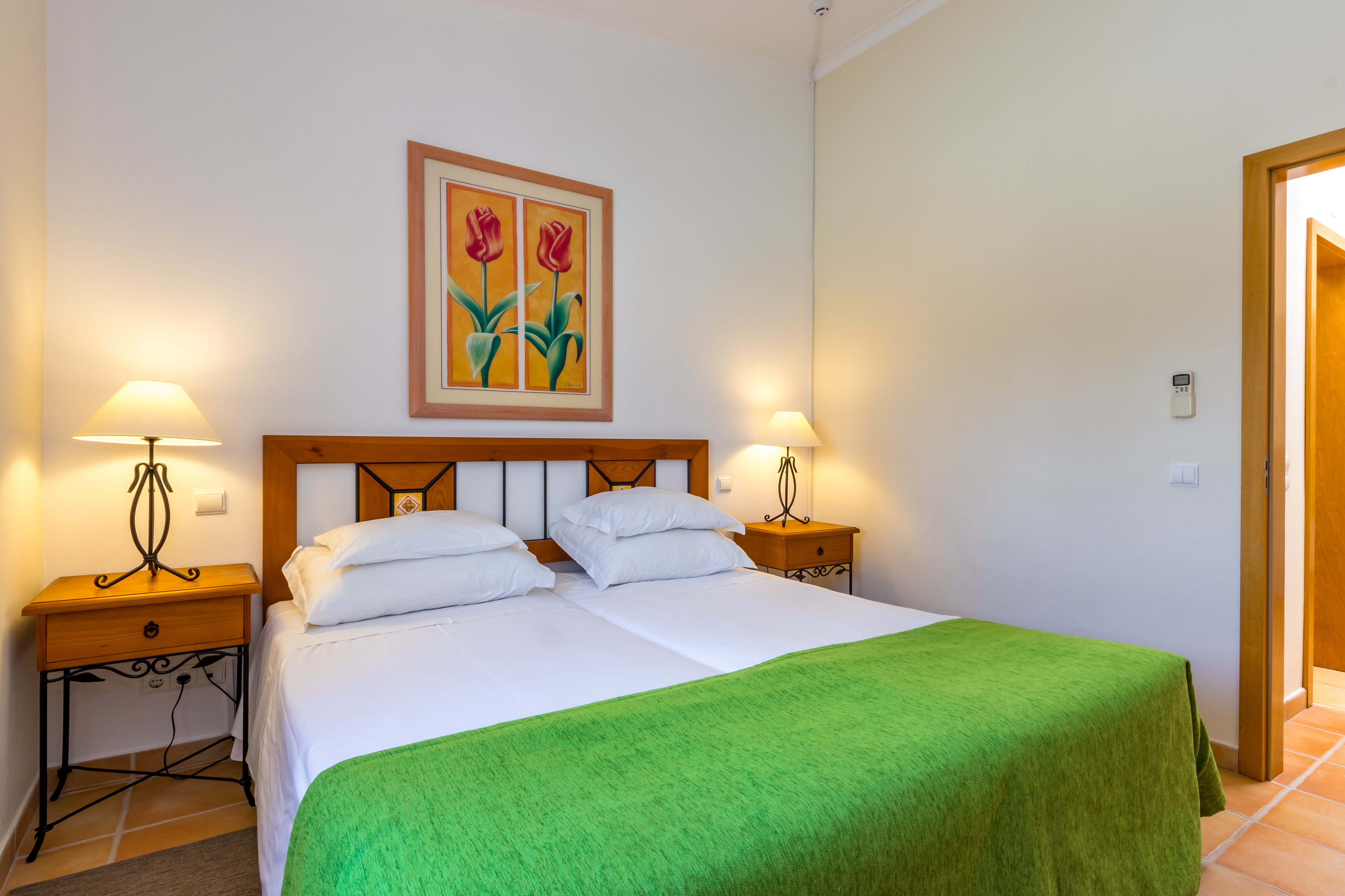 标准一卧室公寓