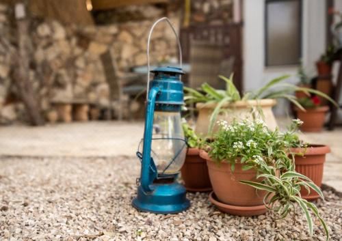 带园景的家庭房