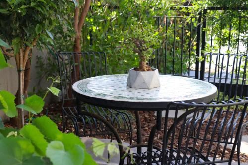 带园景一室公寓