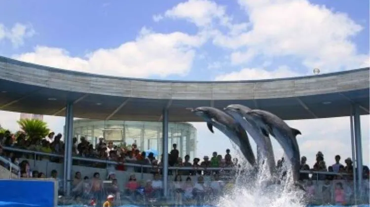 グリーンリッチホテル大分駅前 施設