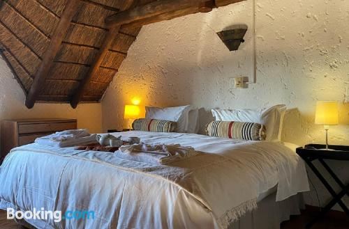 标准双人或双床房