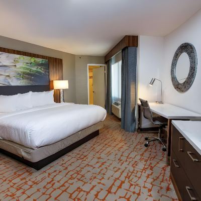 King Room with Roll-in Shower-Mobility/Hearing Accessible DoubleTree by Hilton Appleton Promo Code