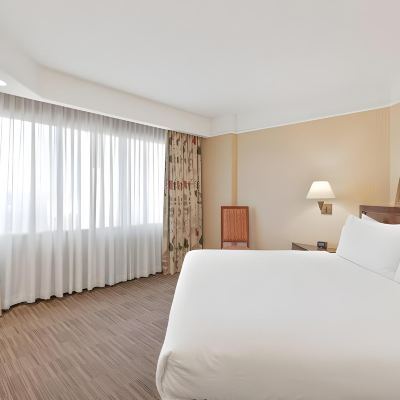 King Suite With Sofa Bed Harmony Suites Promo Code