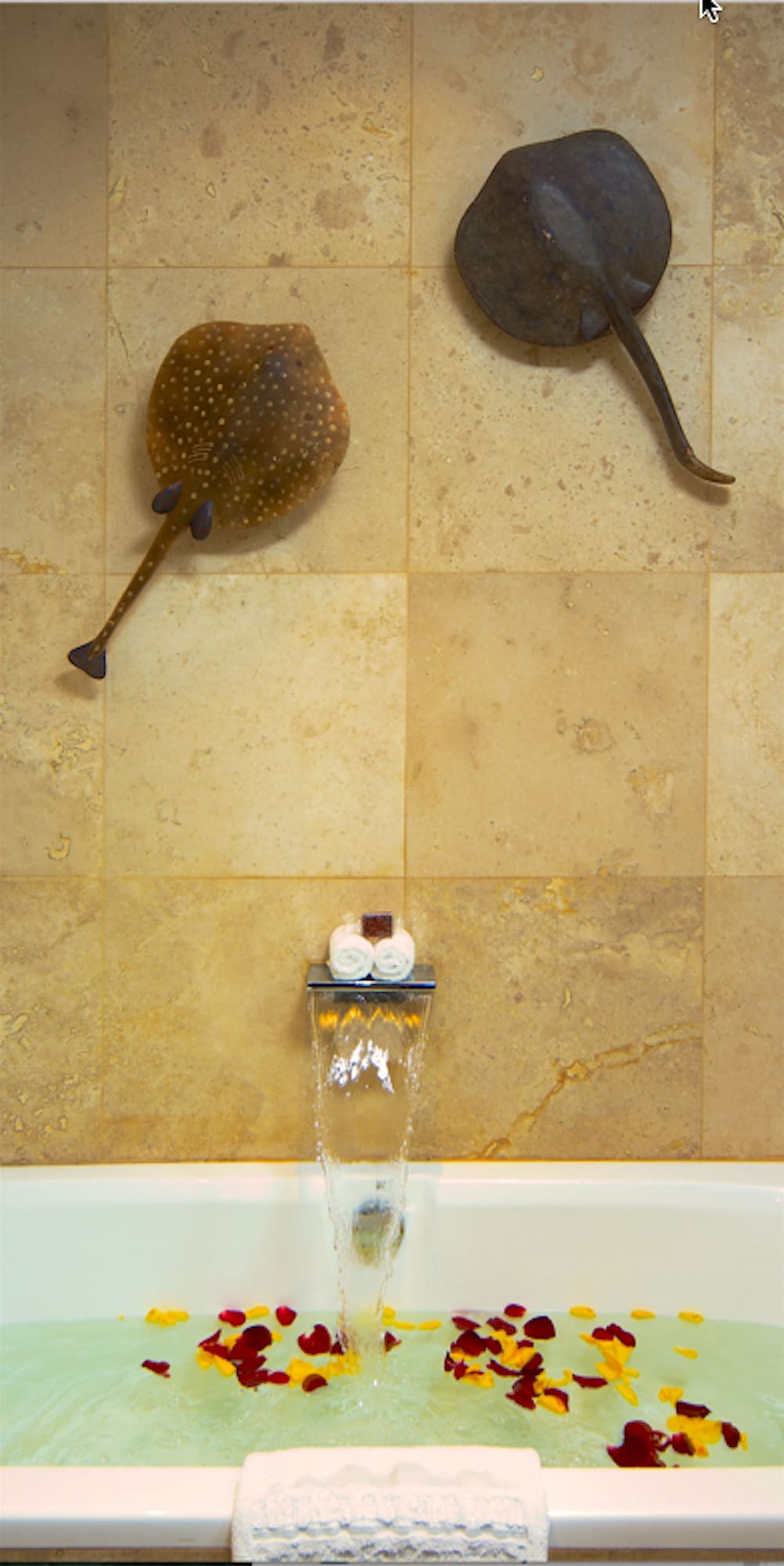 1号房，小型套房，主卧室，一特大床，海景