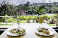 Hotel la Magdalena Adult Only
