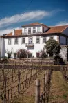 Casa do Santo - Wine & Tourism Hotels in 
