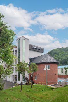Brown Dot Hongcheon Hongcheonguncheong Branch