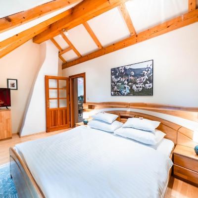 Apartment Winzer Penthouse Donaublick Mit Dachterrasse im Malerwinkel Von D Rnstein Promo Code