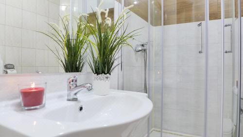 双人房（带独立浴室）