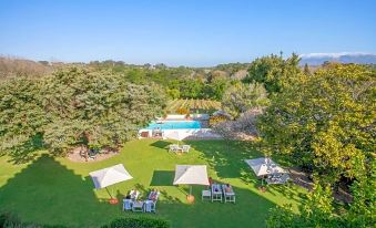 an aerial view of a backyard with a pool surrounded by greenery , including trees , and a grassy area with lounge chairs and umbrellas at The Cellars-Hohenort