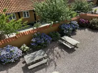 "Ramona" - 10m from the Sea Hotels in Allinge