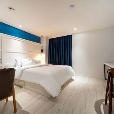 스탠다드룸 Wonju Bellino Hotel 쿠폰