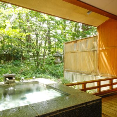 Japanese-Style Room With Hiroen Space & Open-Air Hot Spring Bath (Type Nd) たてしな藍 クーポン