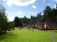 Termas de Aguas Calientes Hotels in 