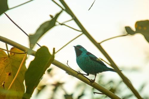 享有游泳池景致的一室公寓