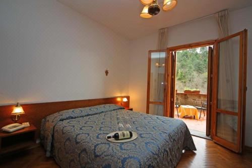 双人或双床间 - 带露台