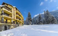 Hotel Casa Viorel Отели в г. 