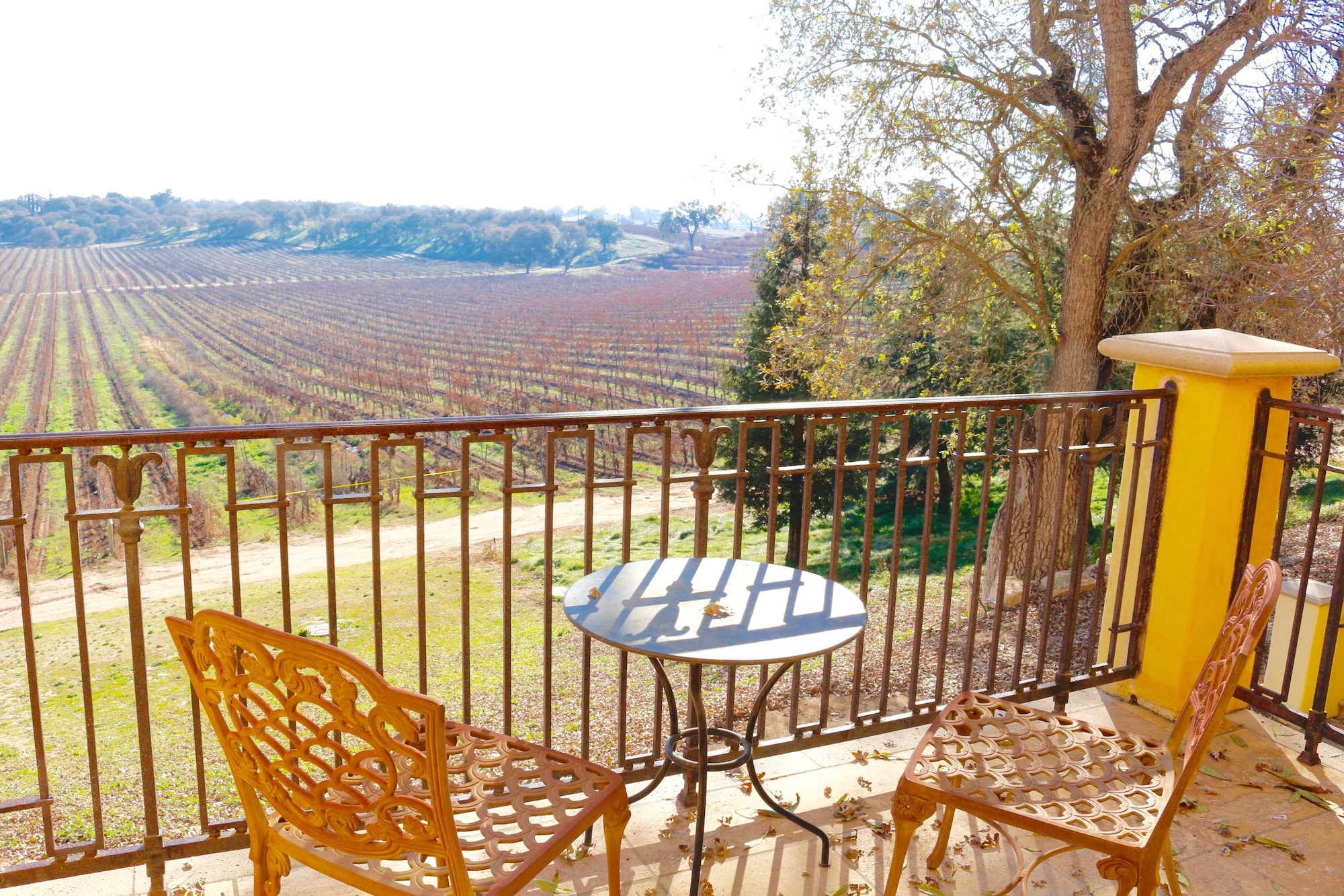 套房，1张大床，葡萄园景观（Muscat）