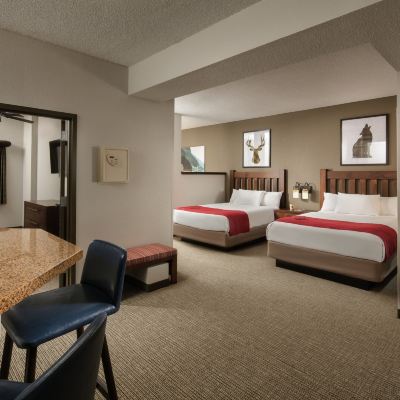 Grand Bear Suite-Water Park Included Great Wolf Lodge Grapevine Promo Code