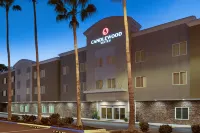 Candlewood Suites SAFETY HARBOR - CLEARWATER NE by IHG