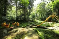 The Tall Trees