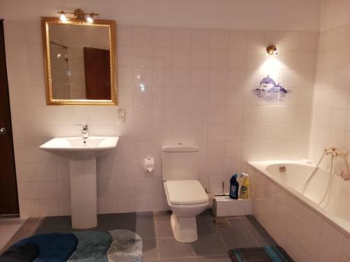 带阳台的两卧室公寓