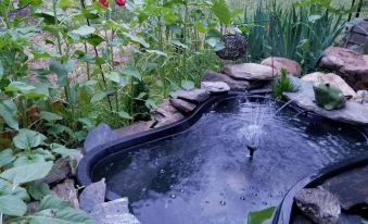 Blue Ridge Manor Bed and Breakfast - Housity
