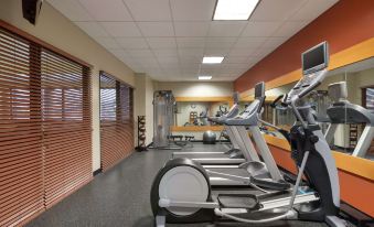 a well - equipped gym with various exercise equipment , including treadmills and weight machines , under bright lights at Hilton Garden Inn Troy